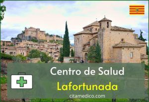 Cita Médico Centro de Salud Lafortunada
